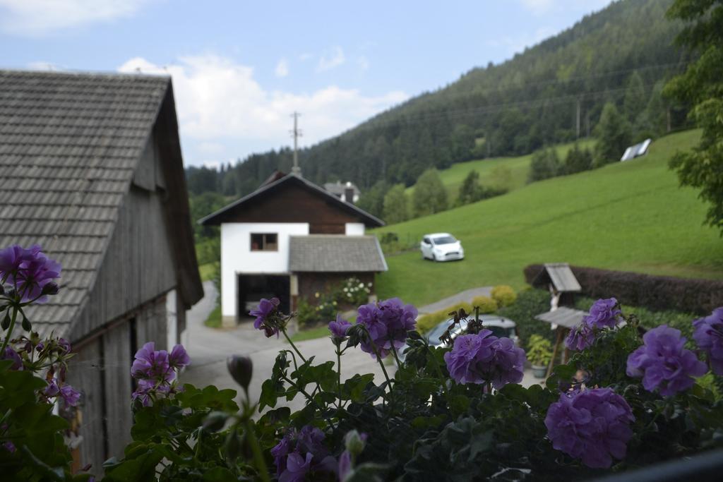 Ferienwohnung Haus Tonelehof Dellach im Drautal Exterior foto