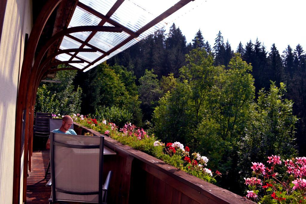 Ferienwohnung Haus Tonelehof Dellach im Drautal Exterior foto